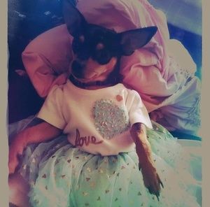 Meet your Posher, Danielle